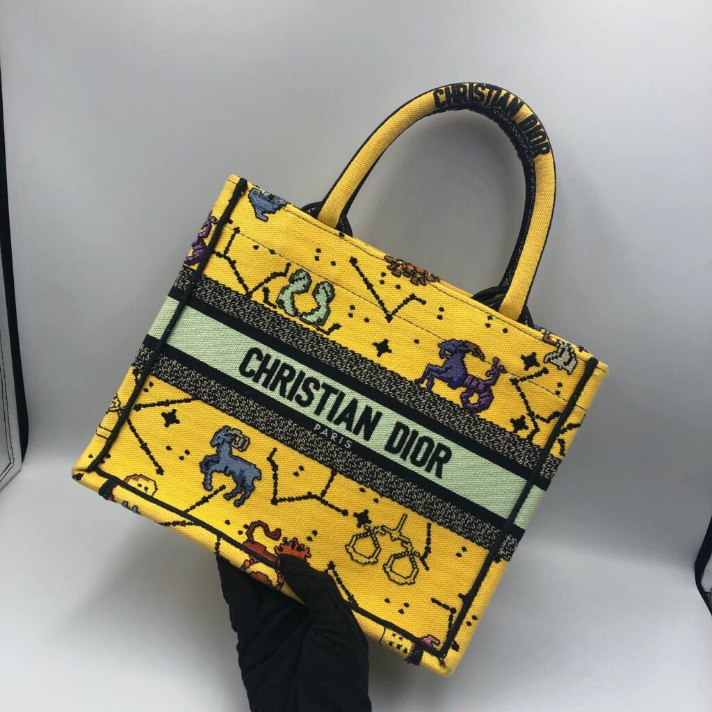 Dior Bag Book Tote Small