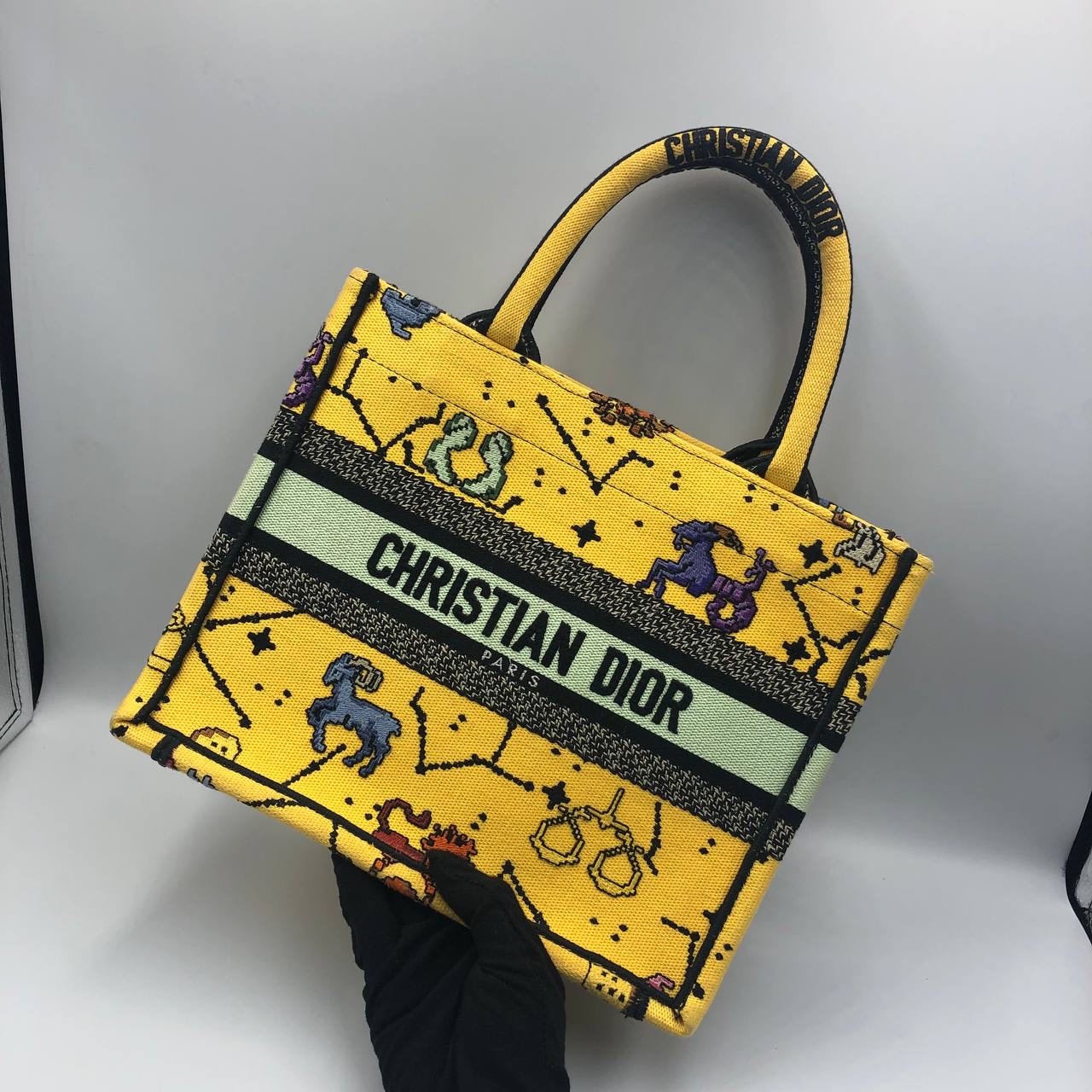 Dior Bag Book Tote Small